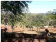 Apple Tree Creek QLD 4660