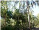 Golden Fleece QLD 4621