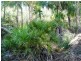Golden Fleece QLD 4621