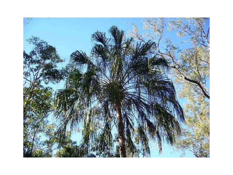 Golden Fleece QLD 4621