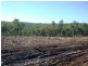 Eureka QLD 4660