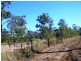 Eureka QLD 4660