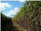 Gin Gin QLD 4671
