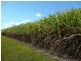 Gin Gin QLD 4671