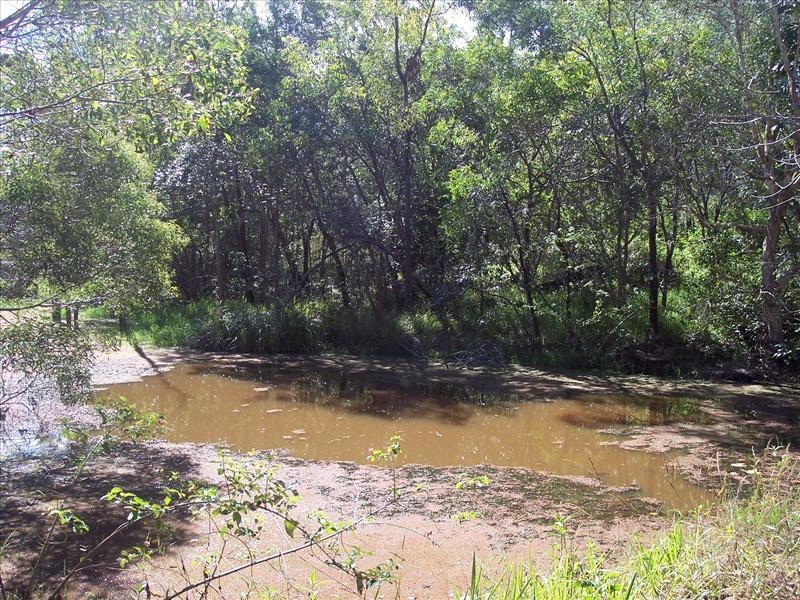 South Kolan QLD 4670