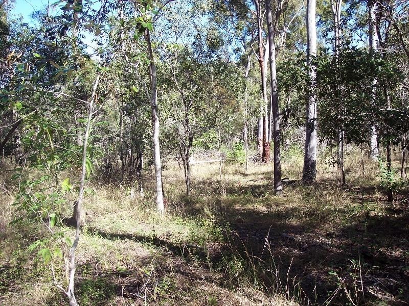 South Kolan QLD 4670