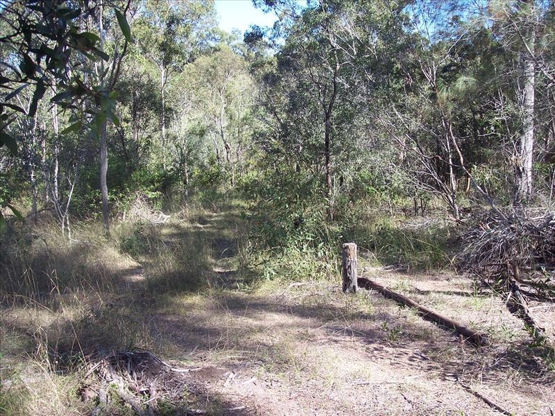 South Kolan QLD 4670