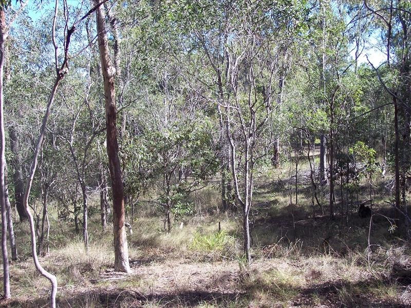 South Kolan QLD 4670