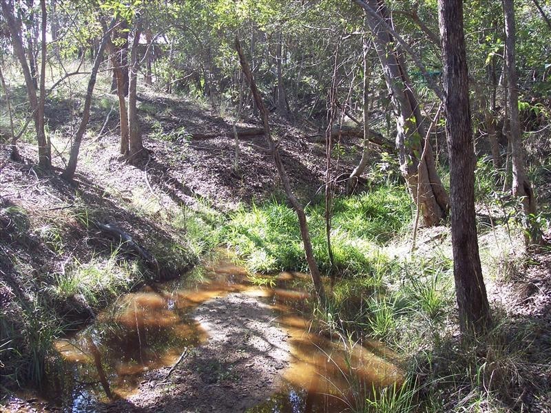 South Kolan QLD 4670