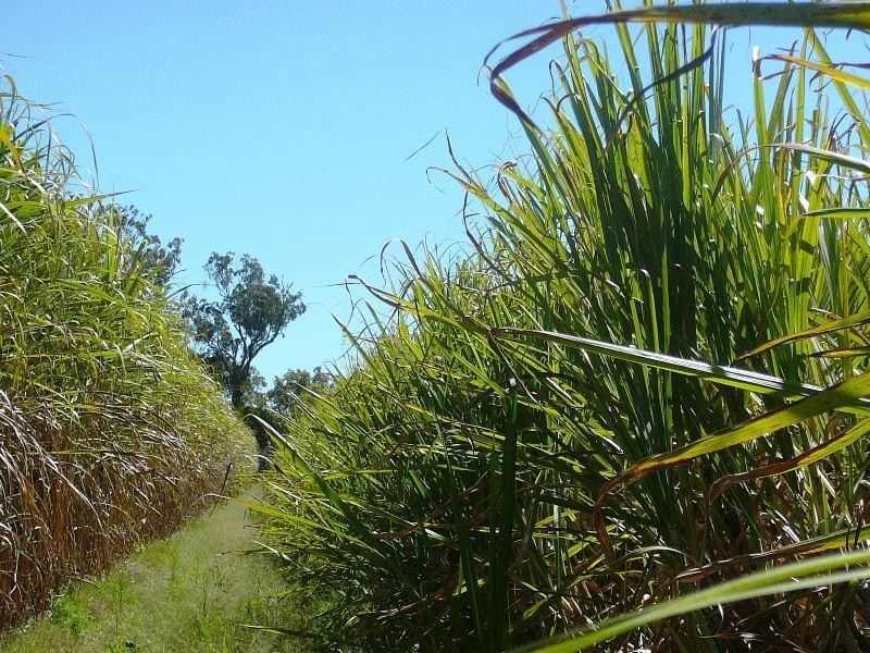 Childers QLD 4660