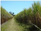 Childers QLD 4660