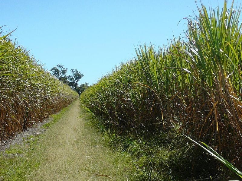 Childers QLD 4660