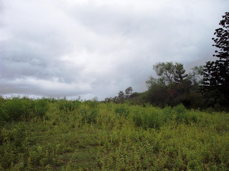 Mount Perry QLD 4671