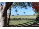 4 Somerville Street, Burnett Heads QLD 4670