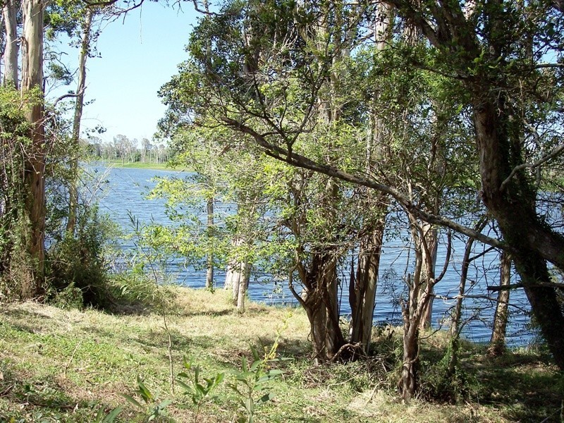 South Kolan QLD 4670