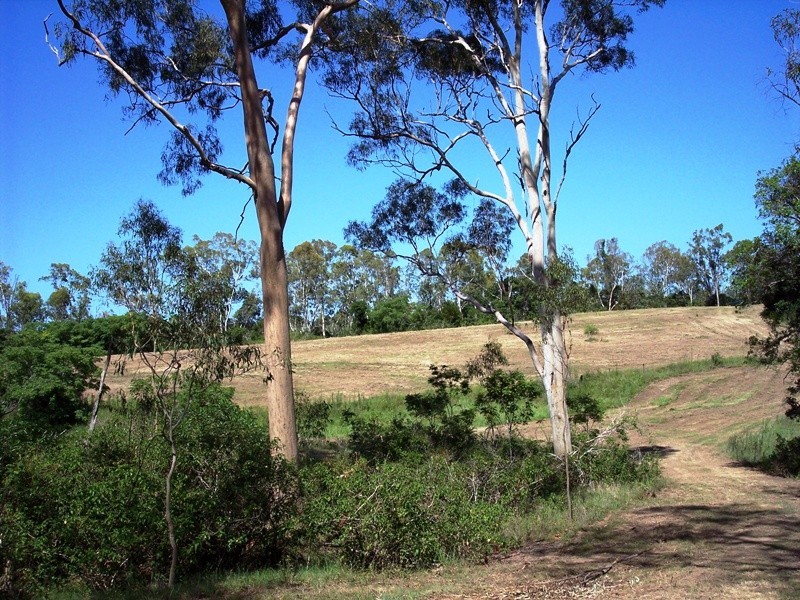 South Kolan QLD 4670