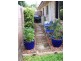 Bundaberg West QLD 4670