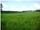 Waterloo QLD 4673