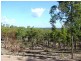 Childers QLD 4660