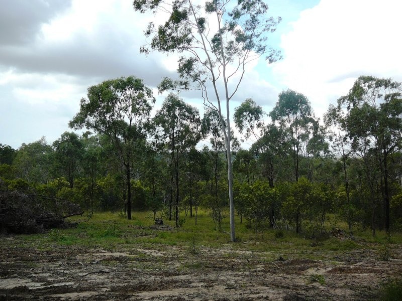 South Kolan QLD 4670