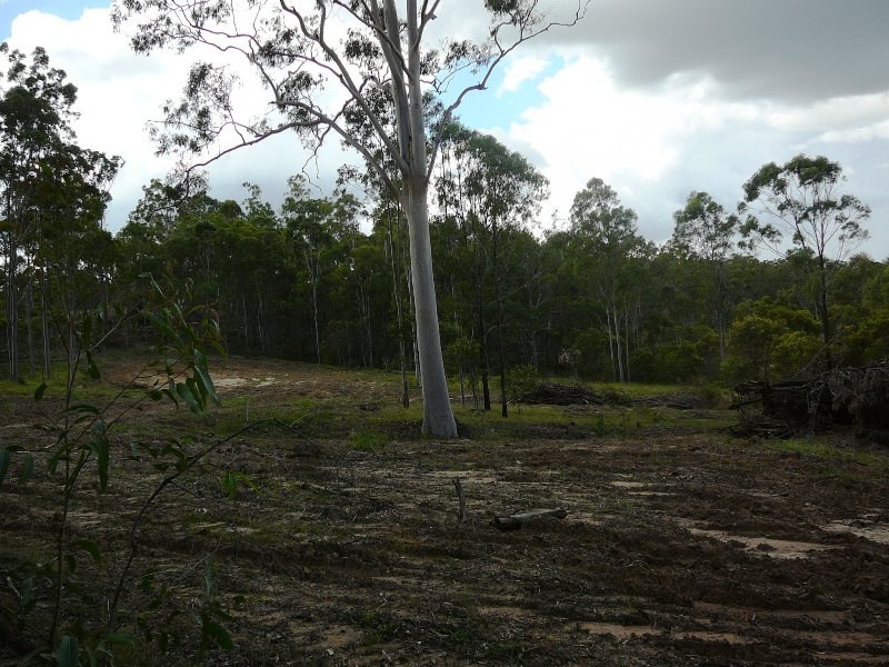 South Kolan QLD 4670