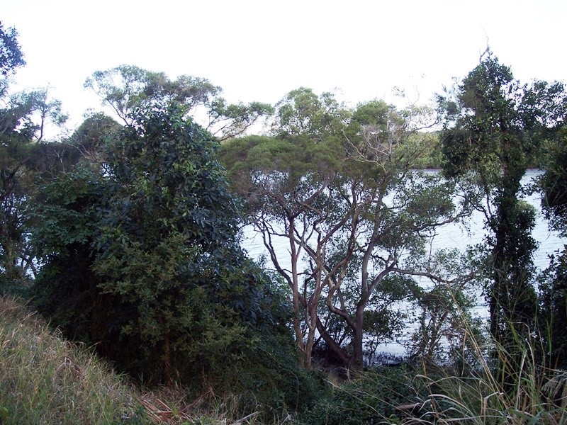 Bundaberg North QLD 4670