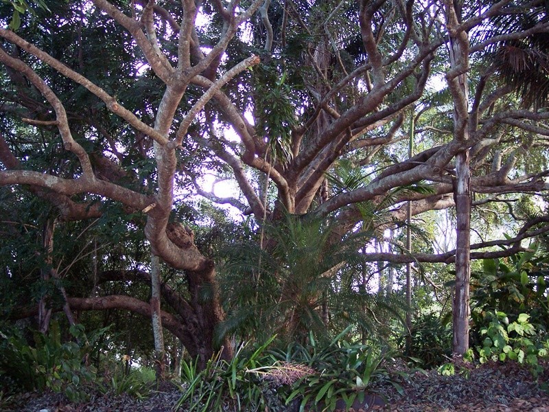 Bundaberg North QLD 4670