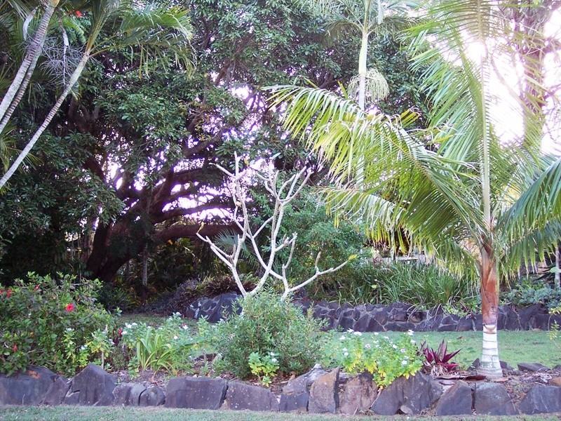 Bundaberg North QLD 4670