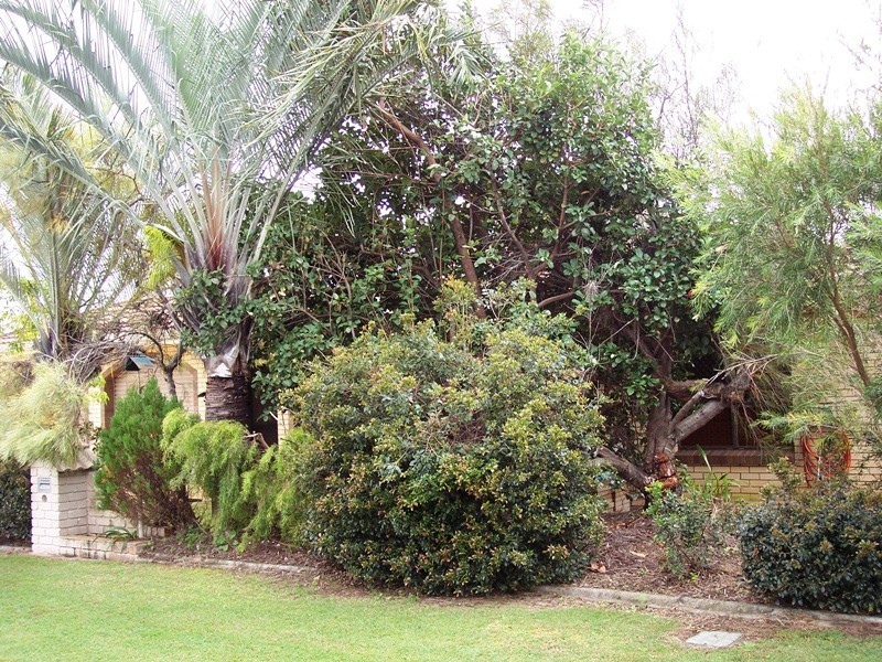 12 JEALOUS ROAD, Kalkie QLD 4670