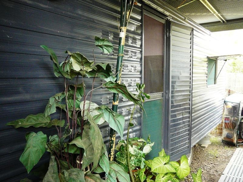 25 Billabong Way, Bucca QLD 4670