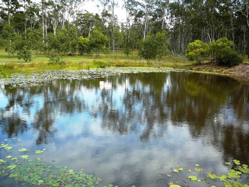 25 Billabong Way, Bucca QLD 4670