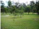 25 Billabong Way, Bucca QLD 4670