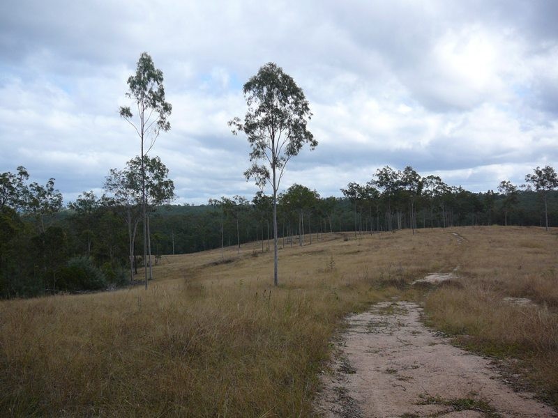 Lowmead QLD 4676