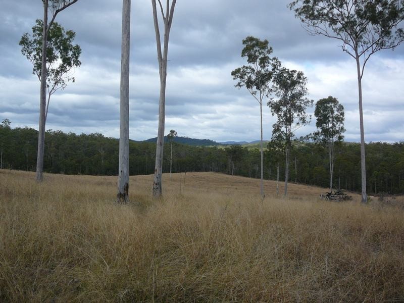 Lowmead QLD 4676