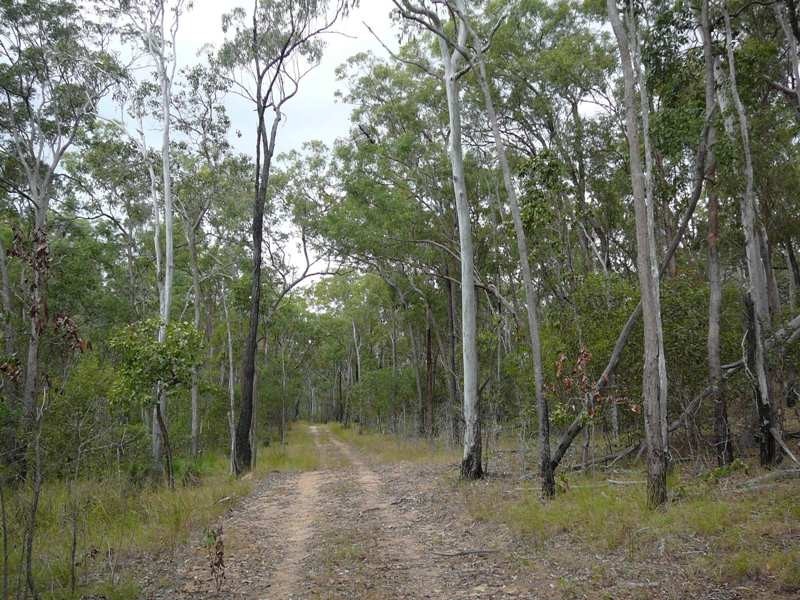 Lowmead QLD 4676
