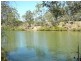 Mullett Creek QLD 4670