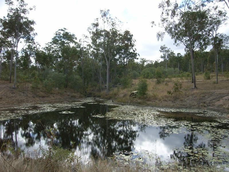 278 Mt Goonaneman Rd, Biggenden QLD 4621
