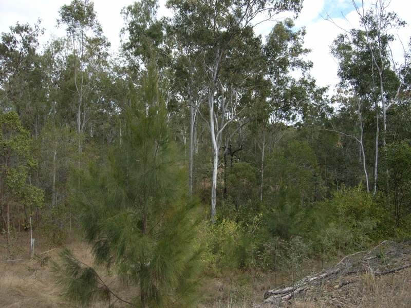 278 Mt Goonaneman Rd, Biggenden QLD 4621