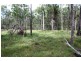 Avondale QLD 4670