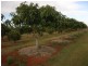 Childers QLD 4660