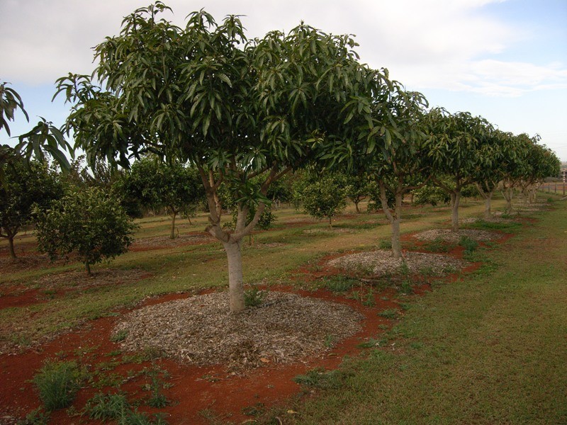 Childers QLD 4660