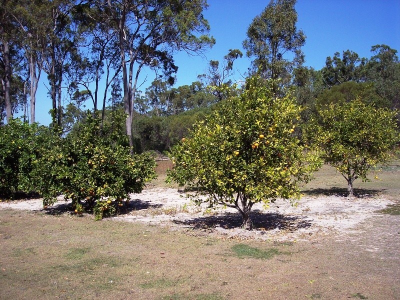 Miara QLD 4673