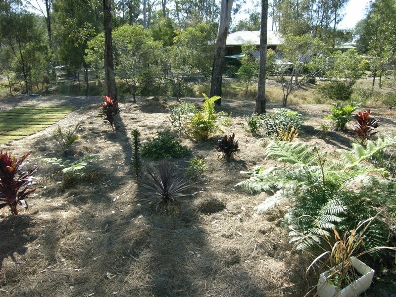 South Bingera QLD 4670