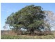 Bucca QLD 4670
