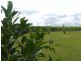 Redridge QLD 4660