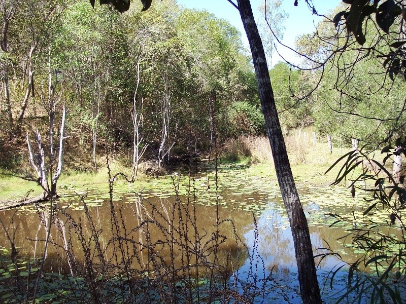 Gin Gin QLD 4671