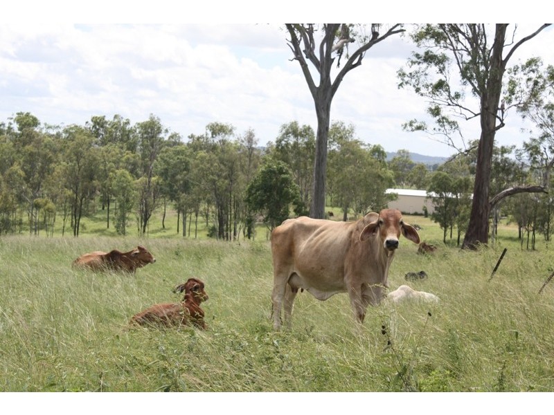 St Agnes QLD 4671
