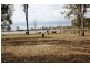 Wallaville QLD 4671