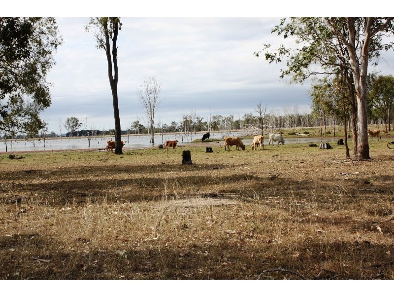 Wallaville QLD 4671