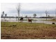 Wallaville QLD 4671